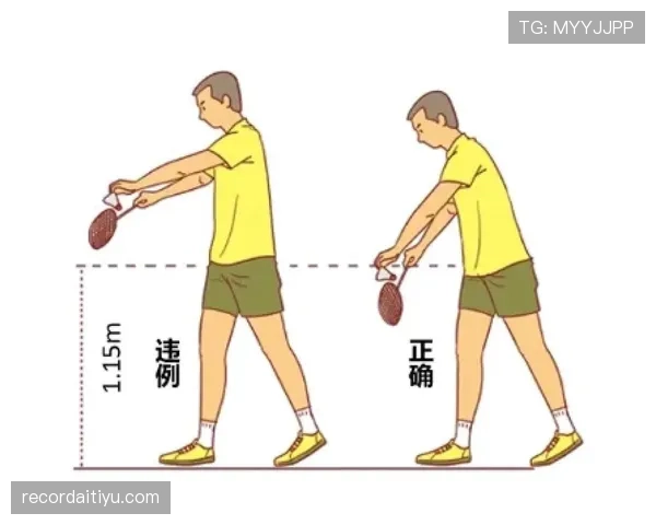 边线发球规则如何在比赛中正确执行以避免违例？